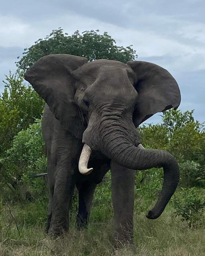 Overnight Stop Before Kruger National Park Phalaborwa Bagian luar foto